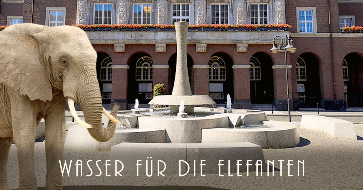 Wasser Für Die Elefanten Buch Wasser für die Elefanten - Wat gibbet