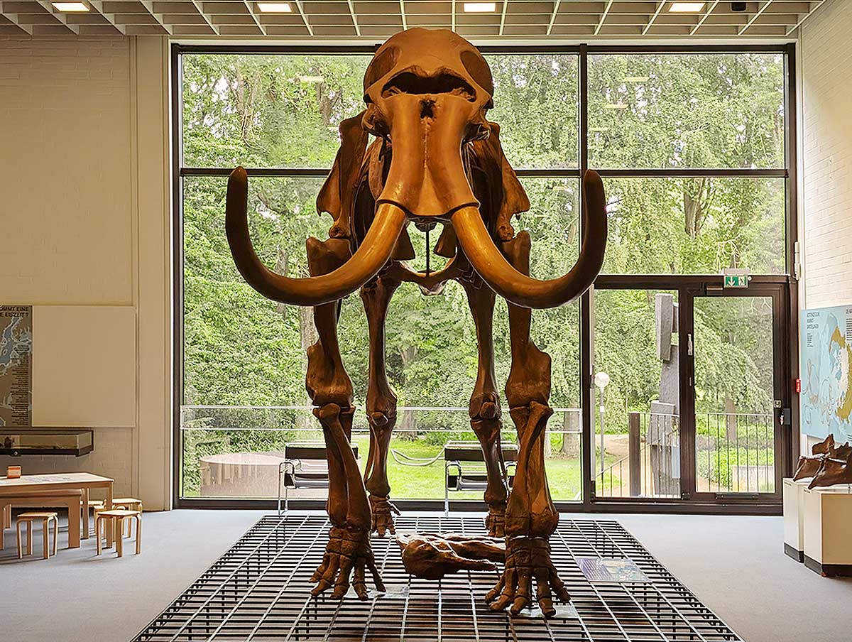 Foto: Udo Schucker Museumszentrum Quadrat Bottrop